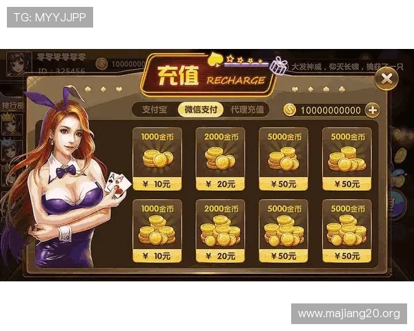 全面解析“大玩家棋牌”平台的特色与优势
